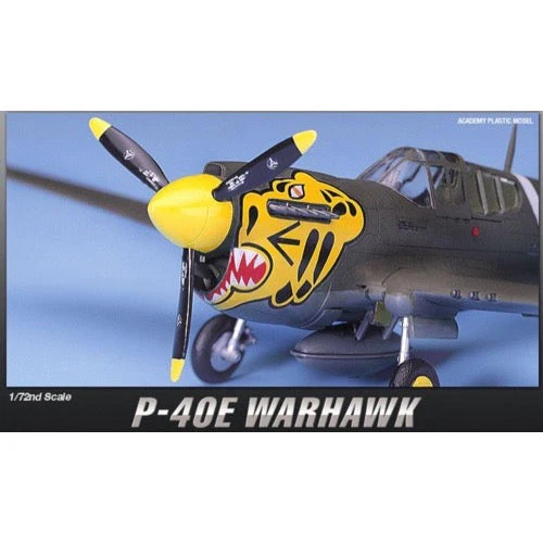 Academy 12468 1/72 P-40E Warhawk Aus Decals - Image 3