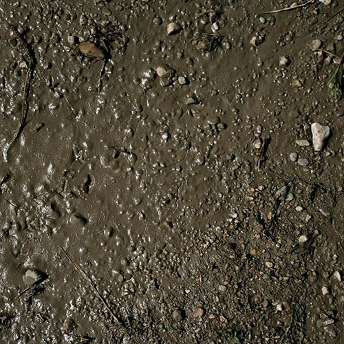 AK Interactive AK8016 Terrains Wet Ground - 250ml (Acrylic) - Image 2