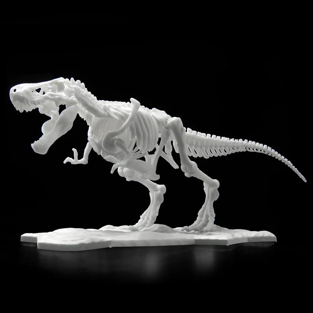Bandai 5061659 Limex Skeleton Tyrannosaurus Dinosaur - Image 3