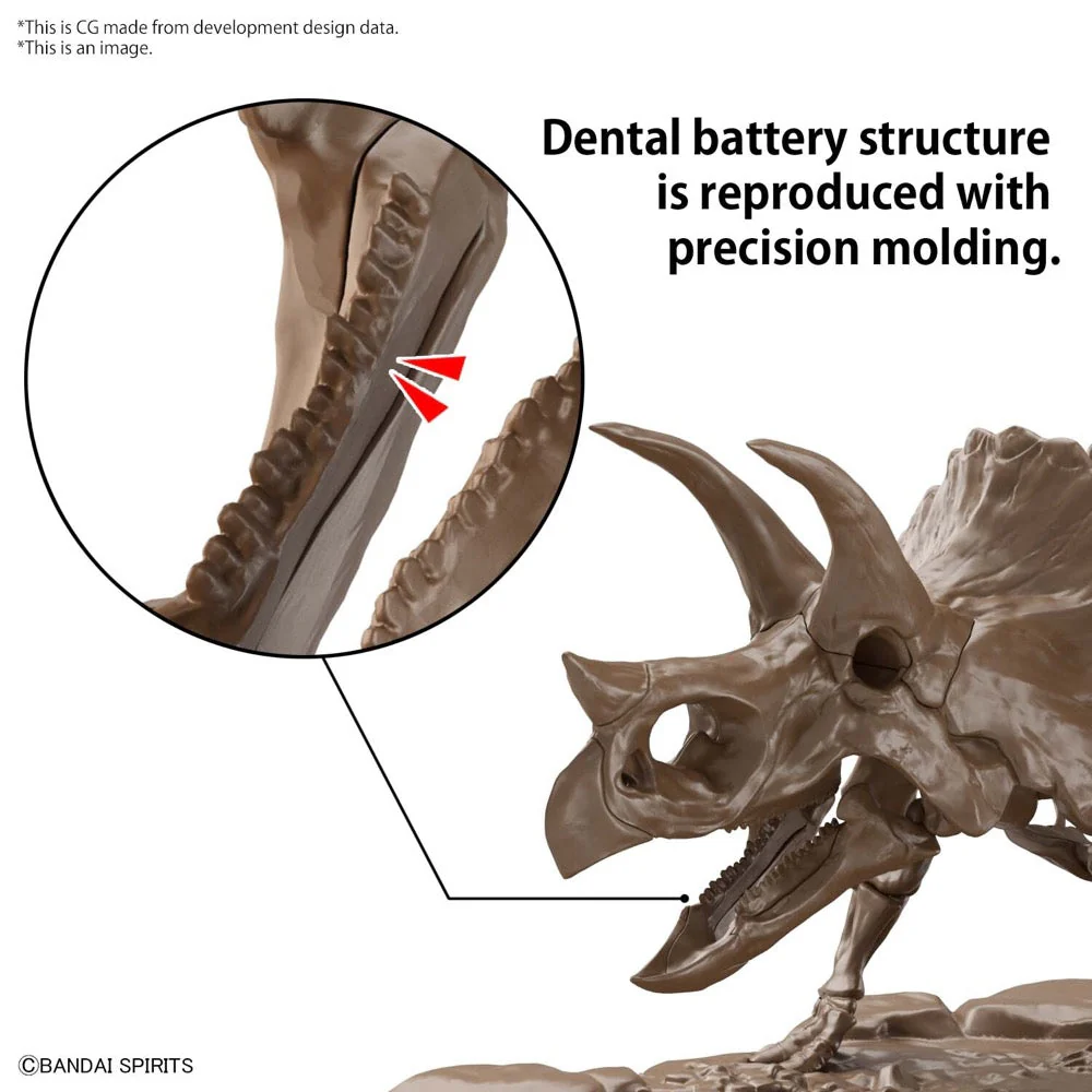 Bandai 5061801 1/32 Imaginary Skeleton Triceratops Dinosaur - Image 7