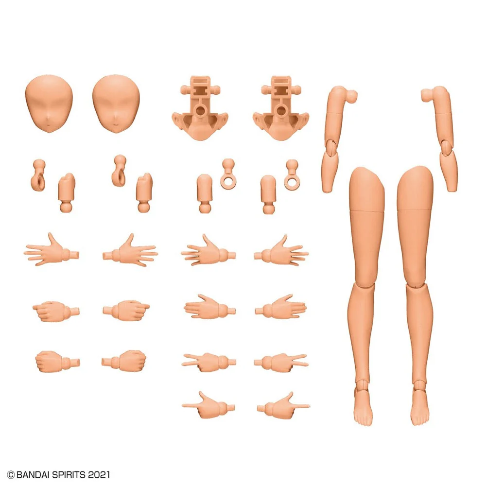 Bandai 5063943 Option Body Parts Arm Parts and Leg Parts Colour C 30MS - Image 2