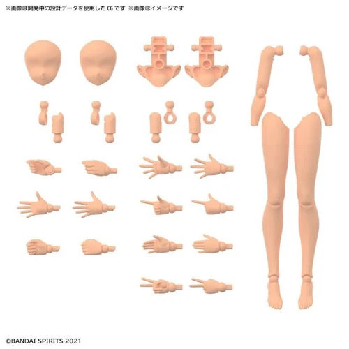 Bandai 5063943 Option Body Parts Arm Parts and Leg Parts Colour C 30MS - Image 9