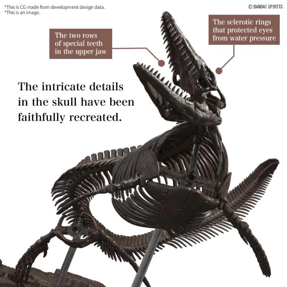 Bandai 5065428 1/32 Imaginary Skeleton Mosasaurus Dinosaur - Image 4