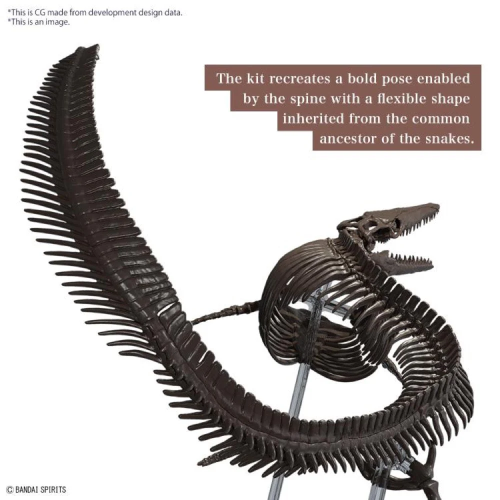 Bandai 5065428 1/32 Imaginary Skeleton Mosasaurus Dinosaur - Image 5