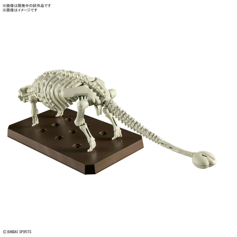 Bandai 5065702 Plannosaurus Ankylosaurus Dinosaur - Image 6