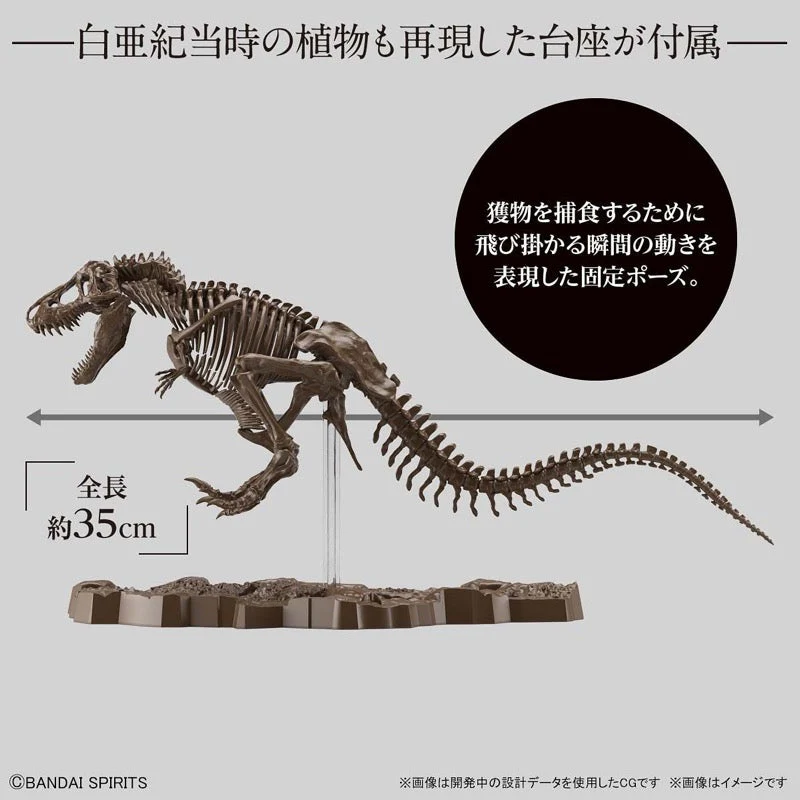 Bandai 5061800 1/32 Imaginary Skeleton Tyrannosaurus Dinosaur - Image 6