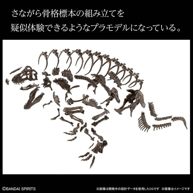 Bandai 5061800 1/32 Imaginary Skeleton Tyrannosaurus Dinosaur - Image 8