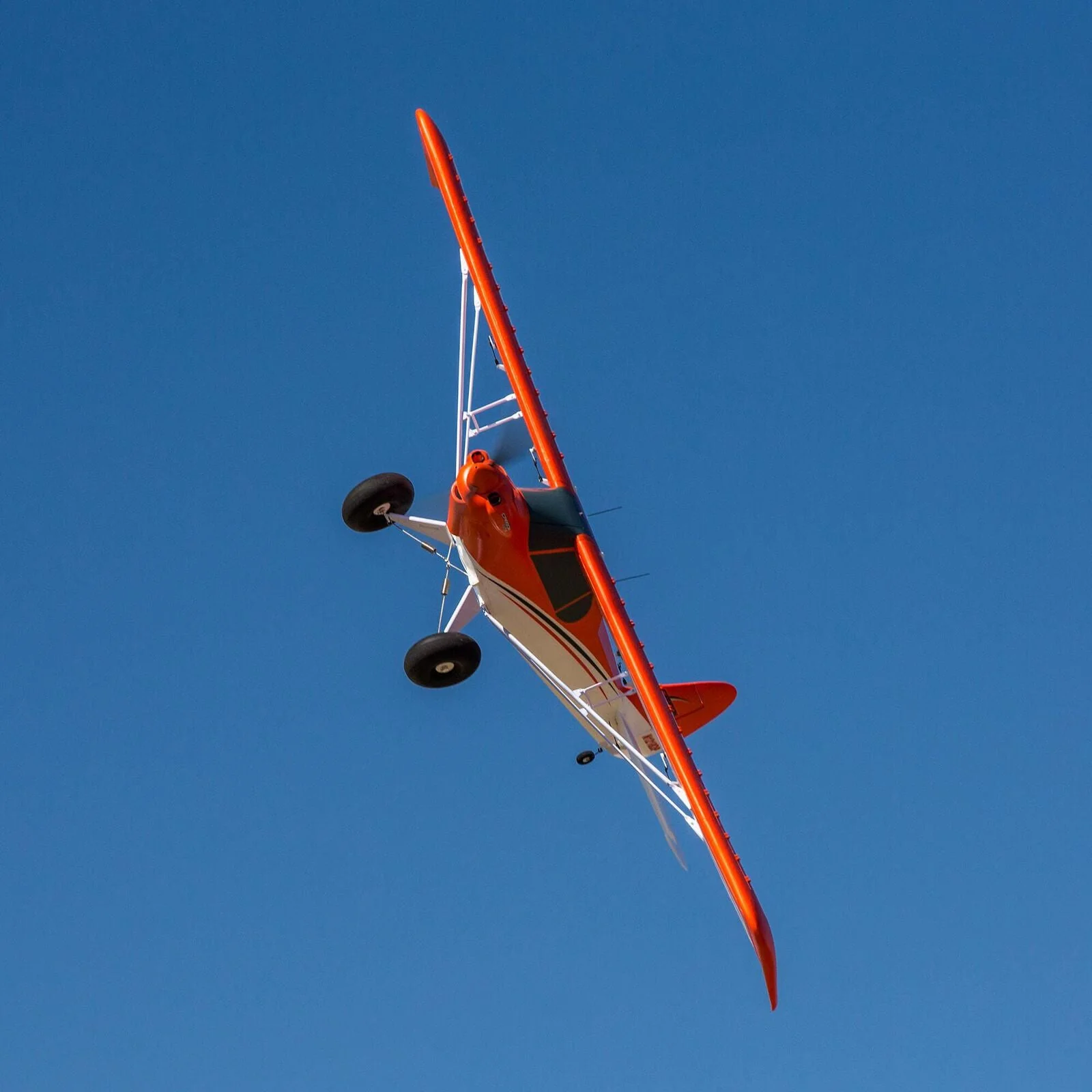 E-Flite EFL124500 Carbon-Z Cub SS 2.1m BNF Basic EFL124500 - Image 10