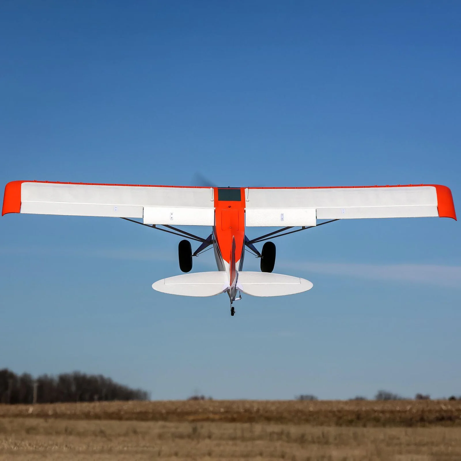 E-Flite EFL124500 Carbon-Z Cub SS 2.1m BNF Basic EFL124500 - Image 11