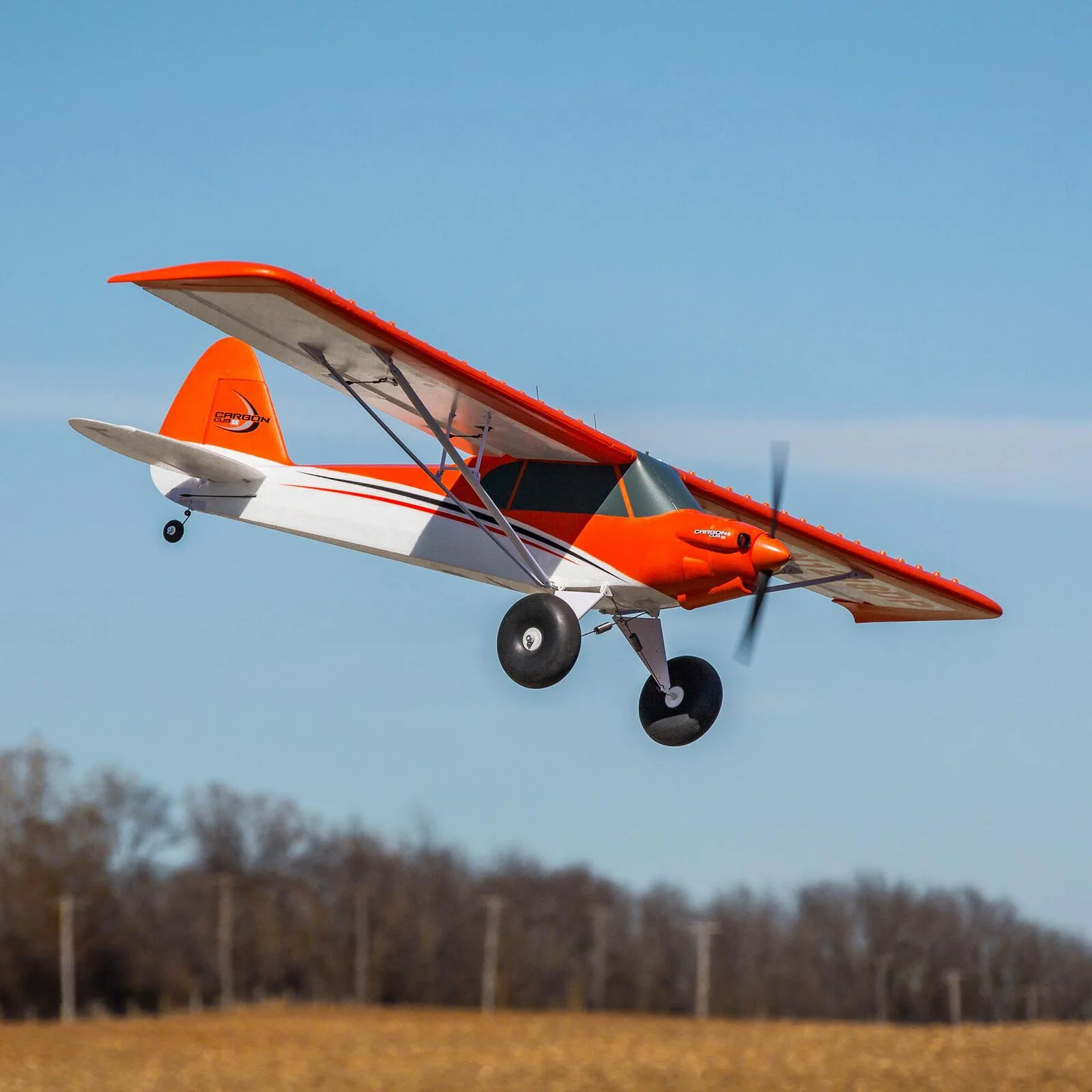 E-Flite EFL124500 Carbon-Z Cub SS 2.1m BNF Basic EFL124500 - Image 9