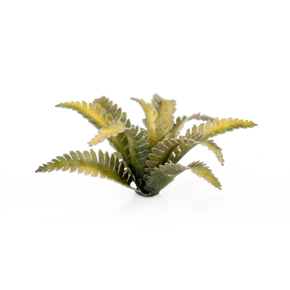 Gamers Grass GGLP-DF Laser Plants Deer Fern - Image 4