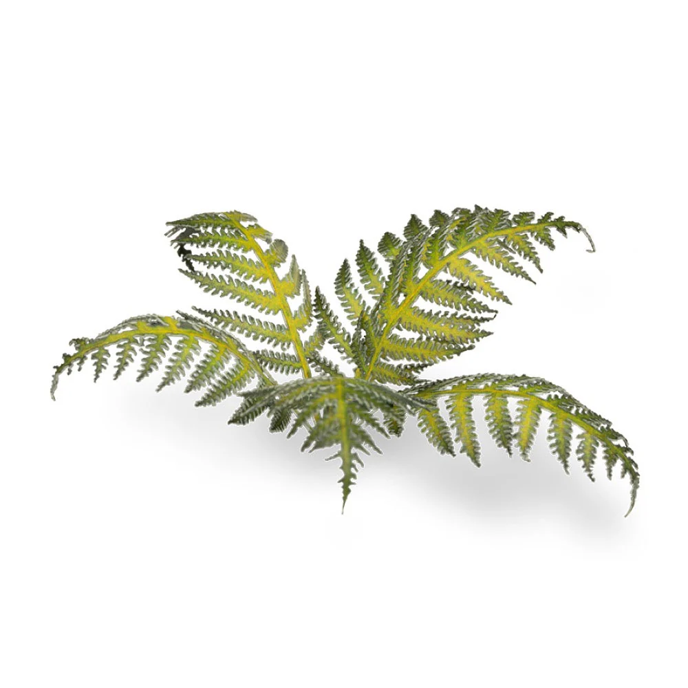 Gamers Grass GGLP-GB Laser Plants Bracken - Image 2