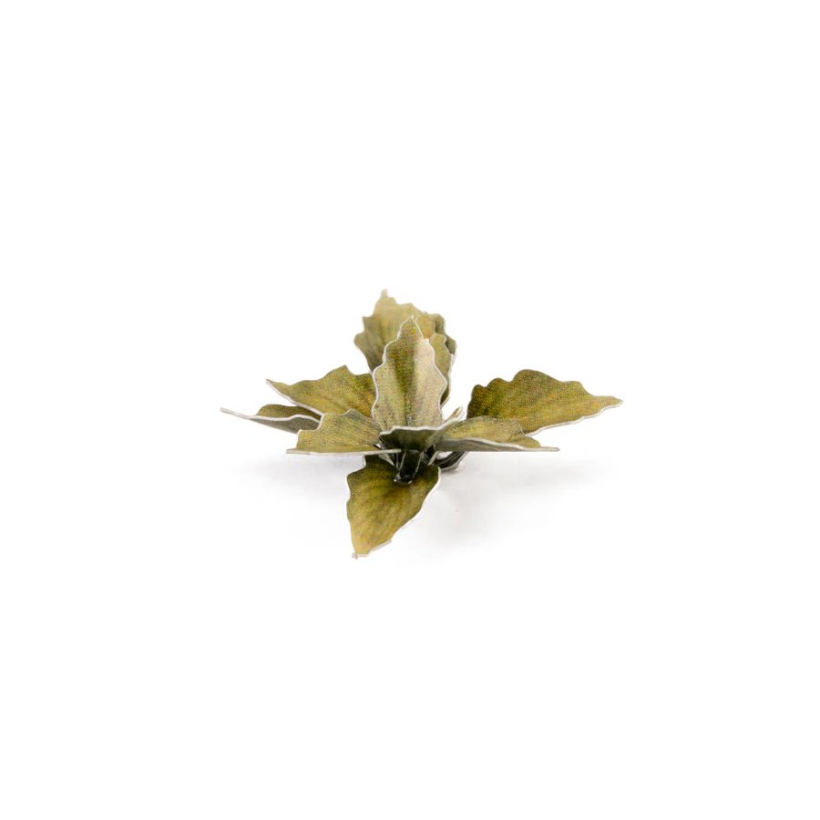 Gamers Grass GGLP-PL Laser Plants Plantain Lily - Image 2