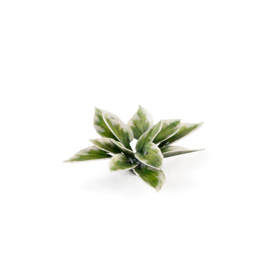 Gamers Grass GGLP-PL Laser Plants Plantain Lily - Image 3