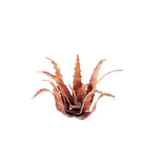 Gamers Grass GGLP-RA Laser Plants Red Aloe - Image 4